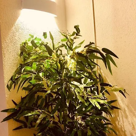 Loft Con Privata 산타마리아데그리안젤리